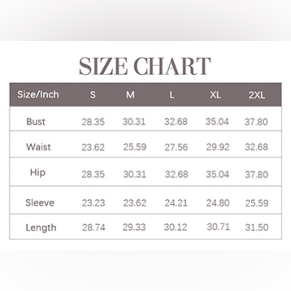 Mesh Sleeve Bodysuit - Picture 6 of 6